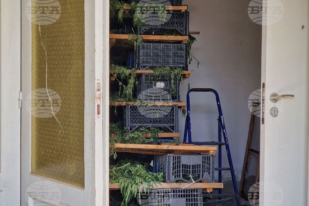 Село Винарско - наркотични вещества - оранжерия