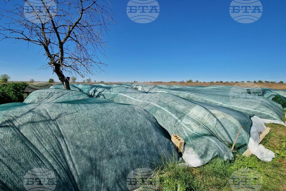 Село Винарско - наркотични вещества - оранжерия