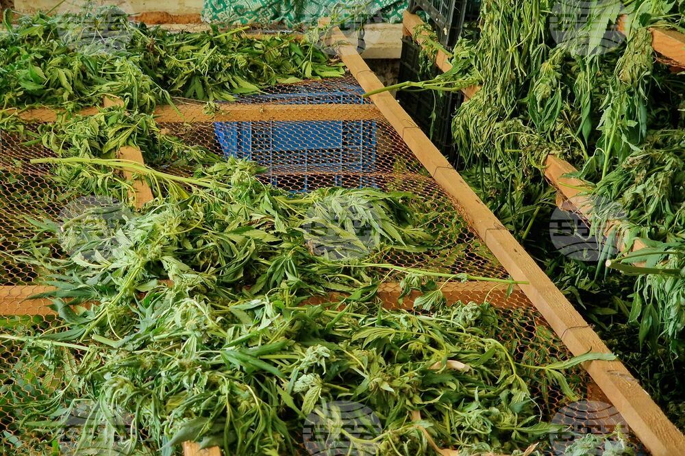 Six Arrested in Plovdiv and Sofia for International Drug Trafficking