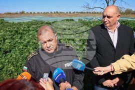 Село Винарско - наркотични вещества - оранжерия