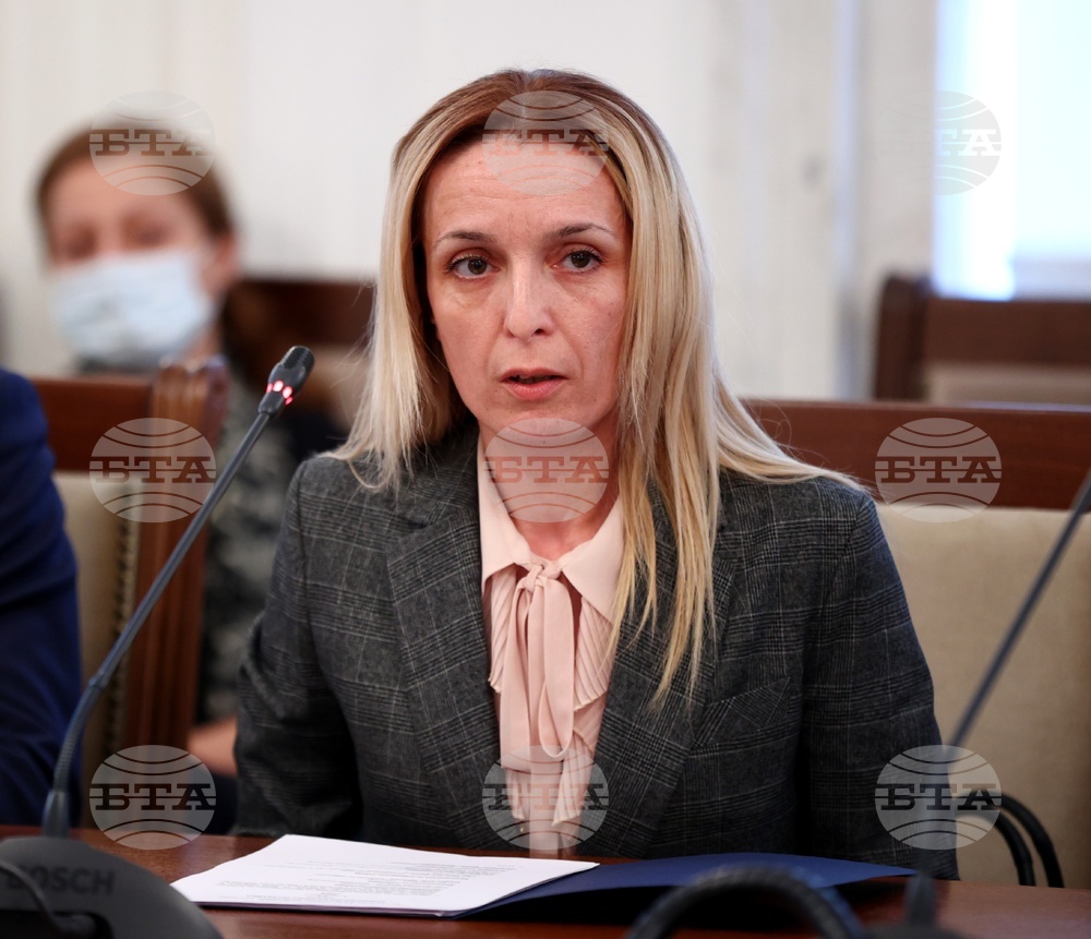 Комисия по външна политика - Венцислава Любенова - заседание