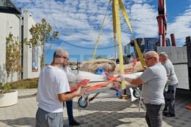 Петрич - Исторически музей - мраморна статуя