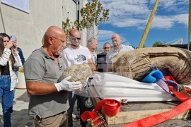 Петрич - Исторически музей - мраморна статуя