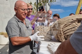 Петрич - Исторически музей - мраморна статуя