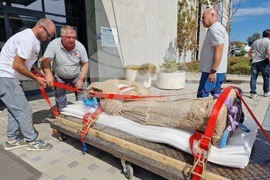 Петрич - Исторически музей - мраморна статуя