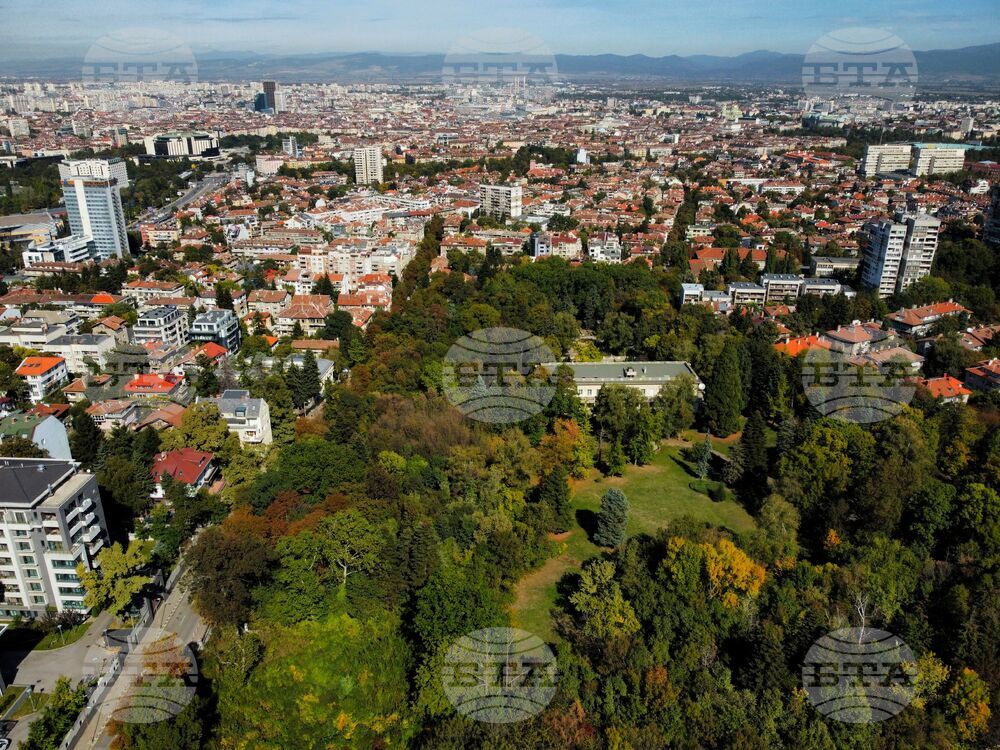 Есен - дървета - багри