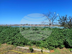 Снимка: Апелативна прокуратура – Бургас