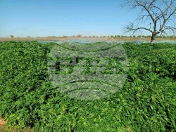 Снимка: Апелативна прокуратура – Бургас