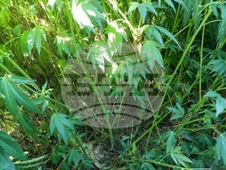 Снимка: Апелативна прокуратура – Бургас