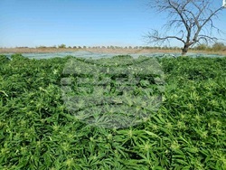 Снимка: Апелативна прокуратура – Бургас