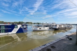 Видин - круизни кораби