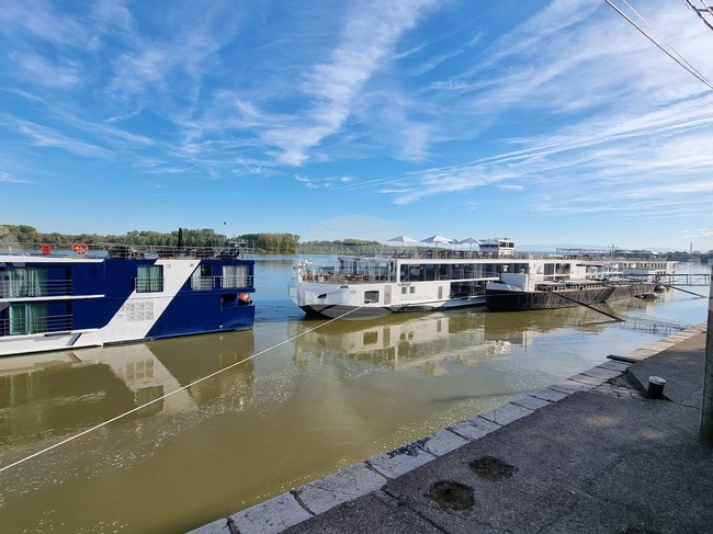 Видин - круизни кораби