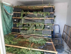 Снимка: МВР