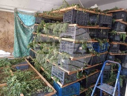 Снимка: МВР