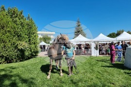 Стара Загора - фестивал на знанието - Тракийски университет