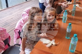 Република Северна Македония - работилница "Ангели"