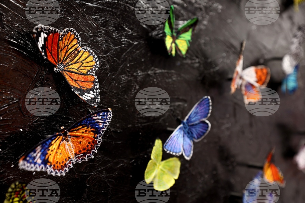 Sofia Art Fair 2024