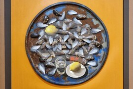 Варна - Михалис Гарудис - изложба