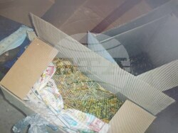 Снимка: МВР