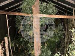 Снимка: МВР