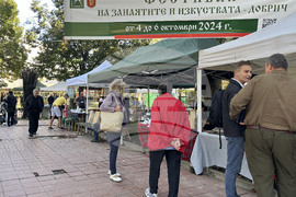 Добрич - Фестивал на занаятите и изкуствата