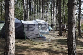 Пещера Орлова Чука - Спелеоложко движение - годишнина