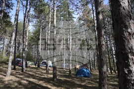 Пещера Орлова Чука - Спелеоложко движение - годишнина