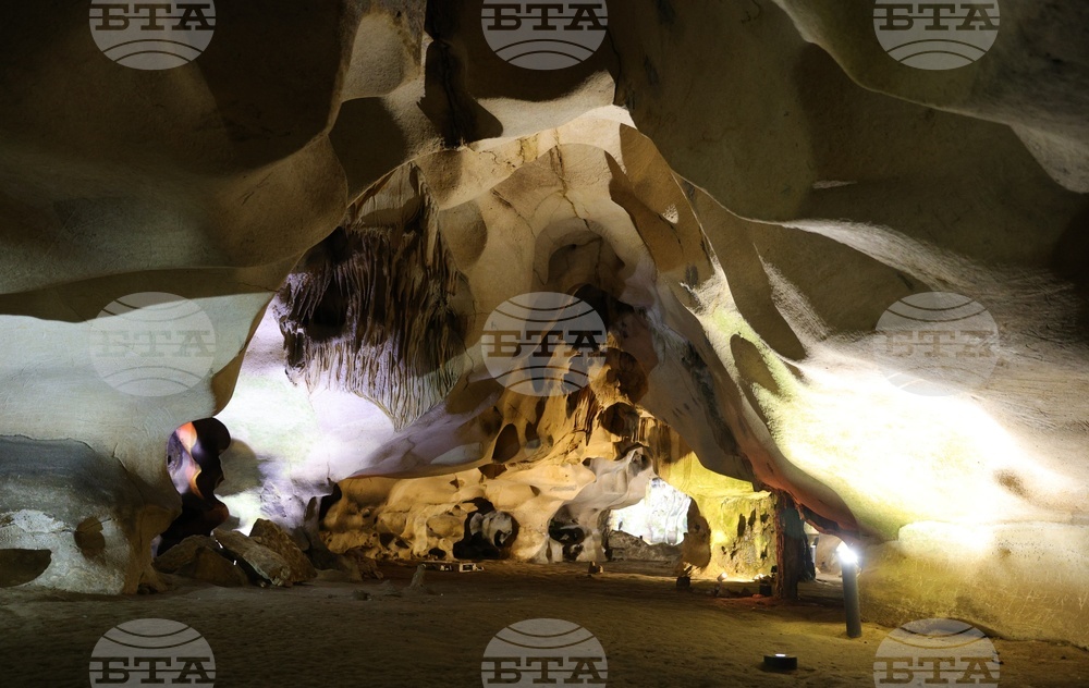 С ателиета, арт работилници и игри за ума Русенският музей ще отбележи Нощта на прилепите в Европа