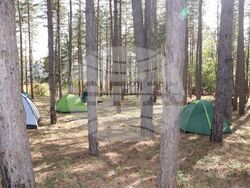 Снимка: Областна администрация Русе