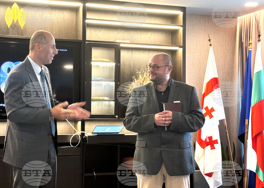 „Витязът в тигрова кожа” - представяне