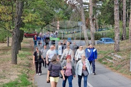 Ямбол - Световен ден на ходенето