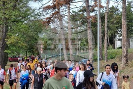 Ямбол - Световен ден на ходенето