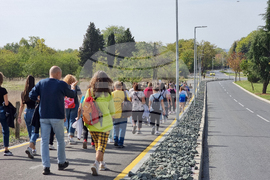 Ямбол - Световен ден на ходенето