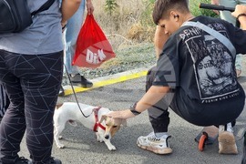 Ямбол - Световен ден на ходенето