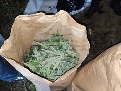 Снимка: МВР