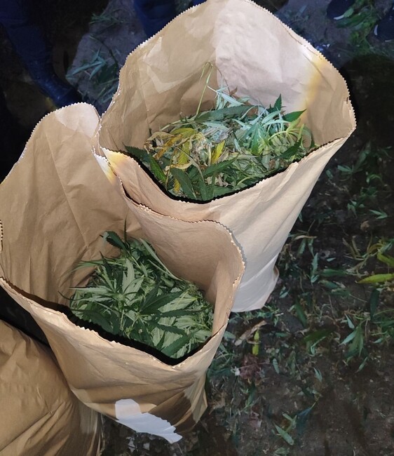 МВР: Успешна реализация на Второ РУ – СДВР срещу наркоразпространението