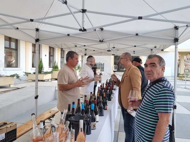 Велико Търново - винен фестивал - мавруд