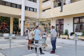 Велико Търново - винен фестивал - мавруд