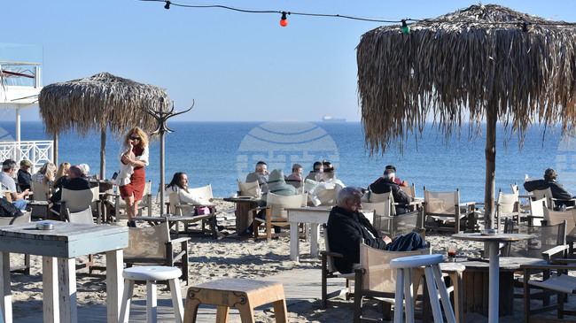 България отчита спад на услугите през януари на месечна база и лек ръст на годишна, сочат данни на Евростат