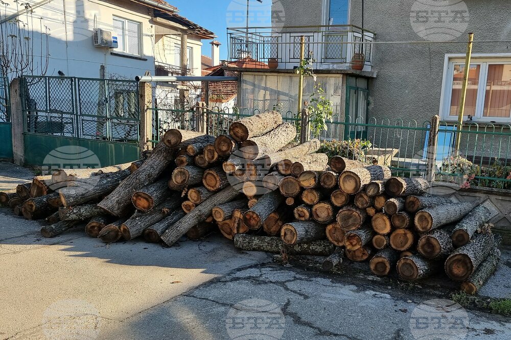 Незаконно добити и превозвани дърва са открити в монтанското село Габровница