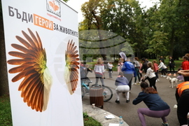 Благотворителен маратон - „Бягане за животните“