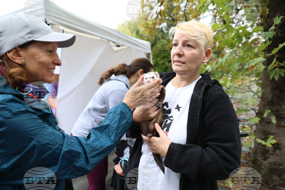 Благотворителен маратон - „Бягане за животните“