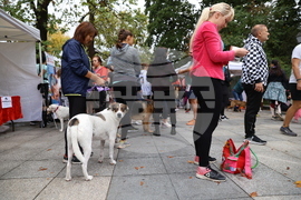Благотворителен маратон - „Бягане за животните“