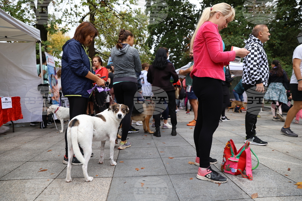Благотворителен маратон - „Бягане за животните“