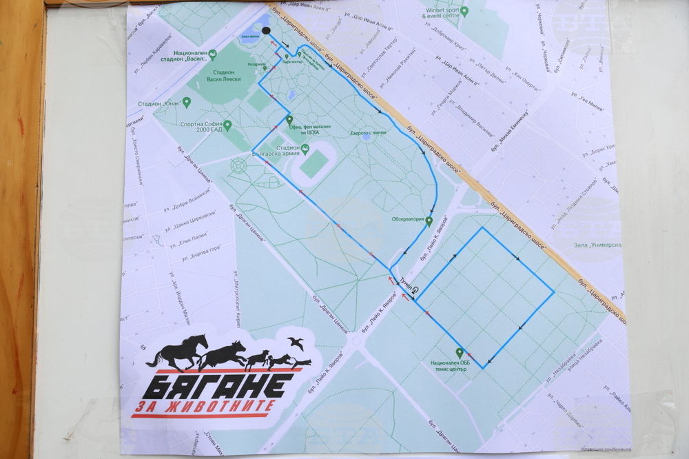 Благотворителен маратон - „Бягане за животните“