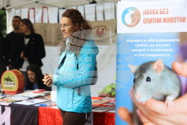 Благотворителен маратон - „Бягане за животните“