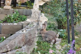 Ямбол - църква „Св. Георги Победоносец“ - неделна служба