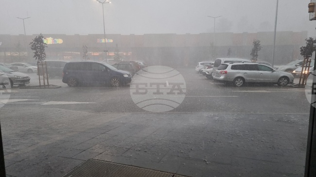 Силна буря с дъжд събори дървета в Добрич и областта