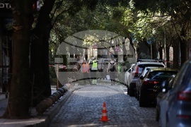 Съборено дърво