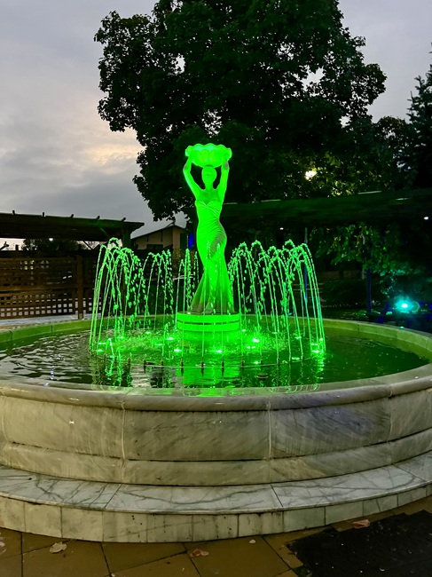 Община Челопеч се включи в Европейския ден на донорството и трансплантацията на органи